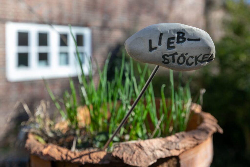 Via-Volksdorfer-Damm-Maerz-2026-204